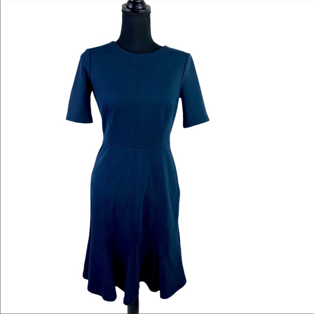 Blue professional Banana Republic dress